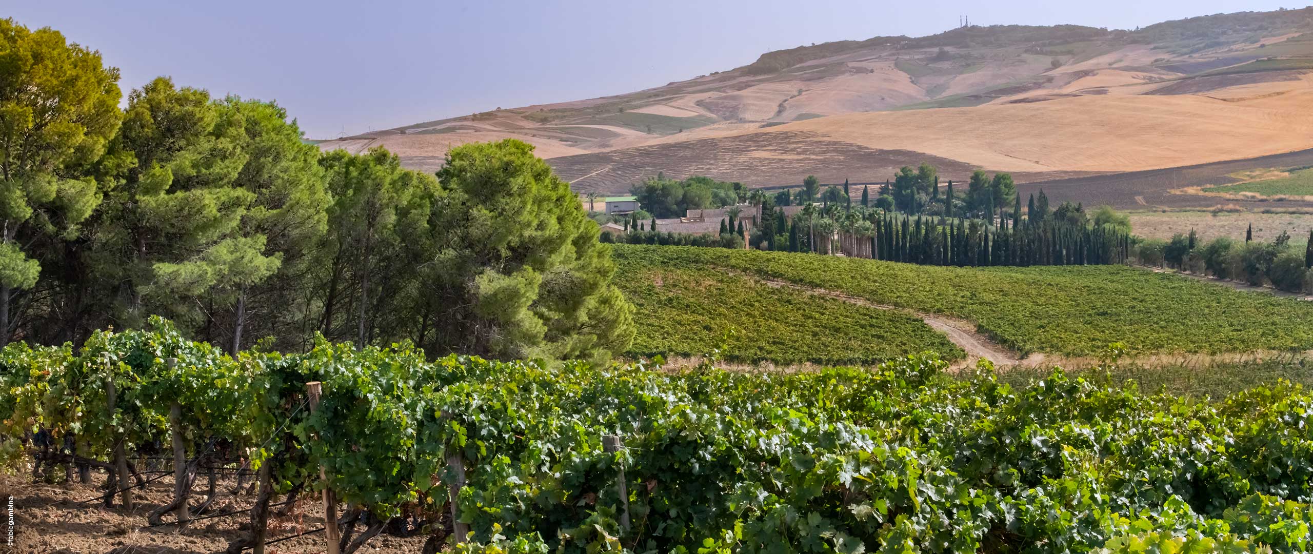 Donnafugata Winery in Sicily Contessa Entellina Estate