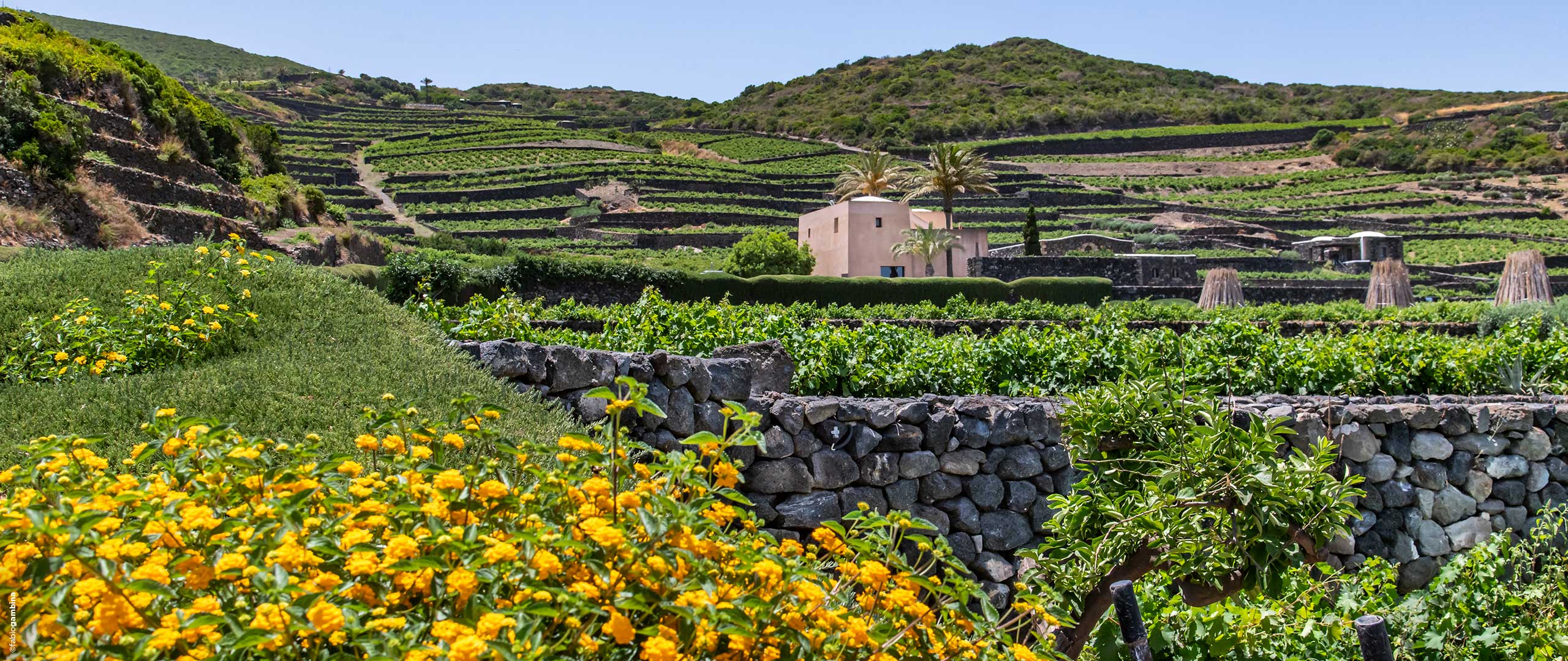 Donnafugata Winery in Pantelleria | Donnafugata