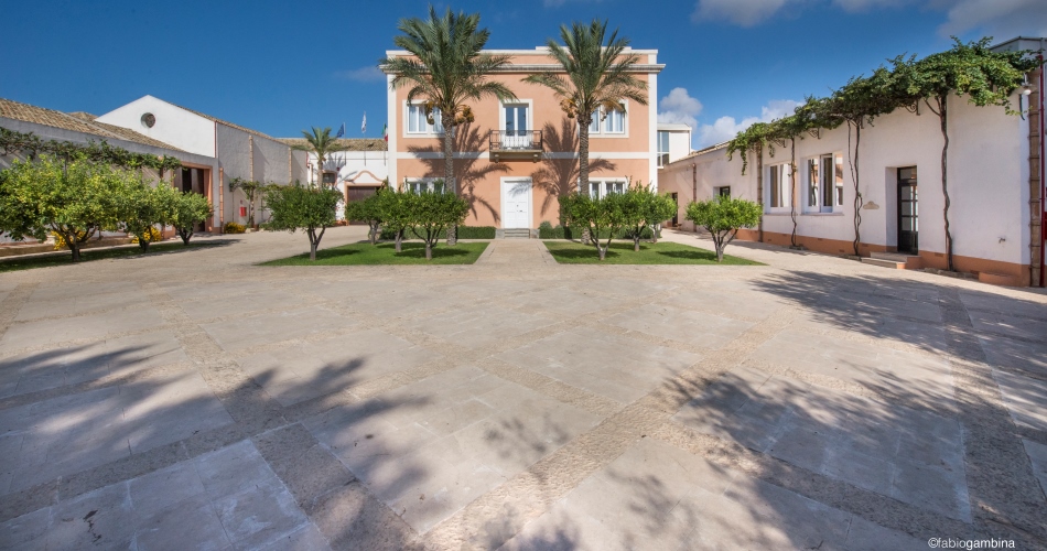 A year at Donnafugata