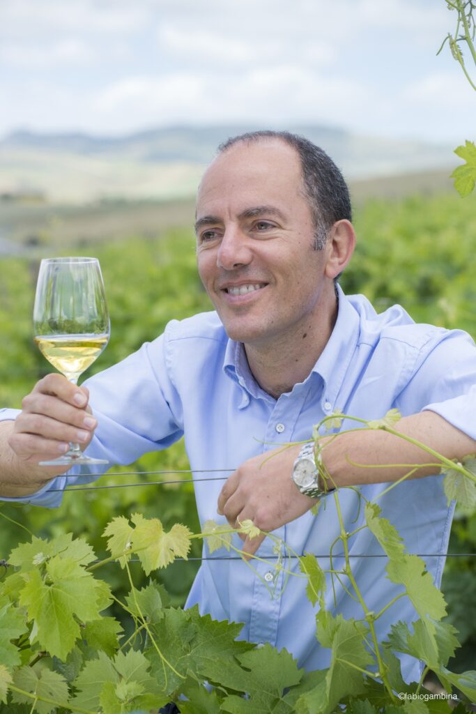 The harvest at Donnafugata: favorable weather conditions for an excellent vintage
