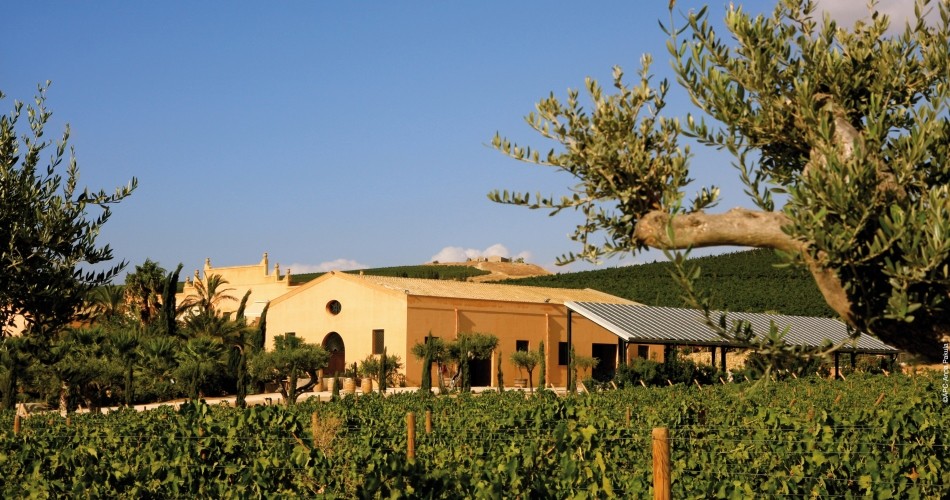 DONNAFUGATA RENEWS ITS COMMITMENT FOR THE CARE OF THE ENVIRONMENT: SOON IT WILL CONFRONT ITS OWN ENERGY NEEDS WITH THE REALISATION OF PHOTOVOLTAIC INSTALLATIONS AT ZERO IMPACT TO THE ENVIRONMENT.