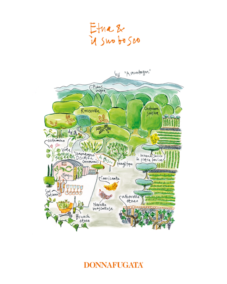 Etna Estate & surrounding woodland