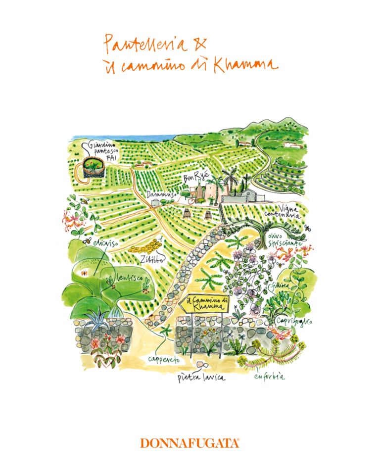 Pantelleria Estate & il cammino di Khamma.