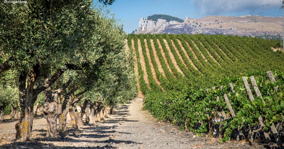 INFO SULL’ANNATA 2011