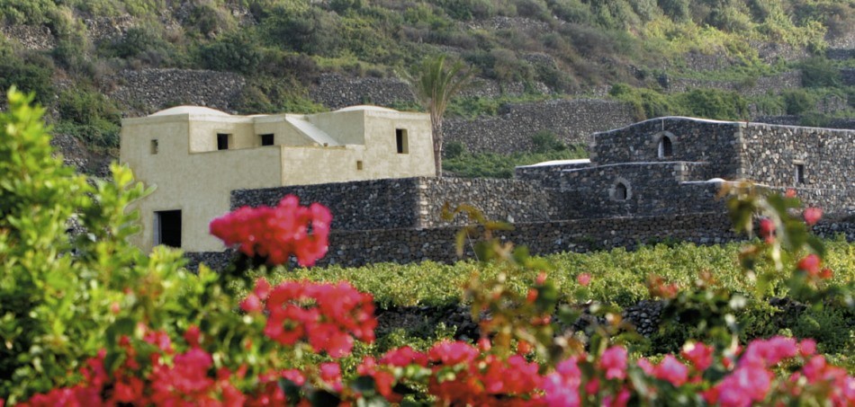 Pantelleria nel cuore di Donnafugata