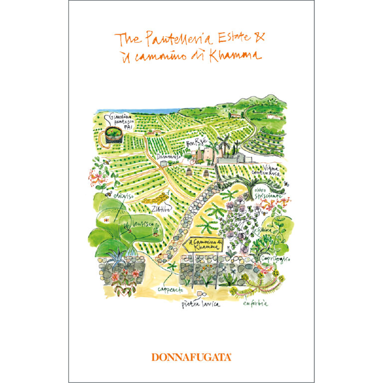 Pantelleria Estate & il cammino di Khamma.