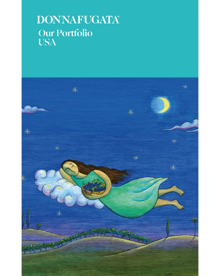 Our Portfolio USA