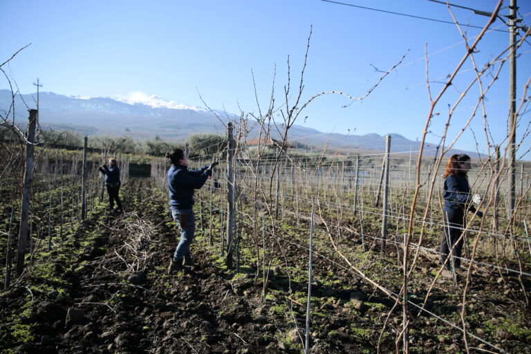 Persone a lavoro