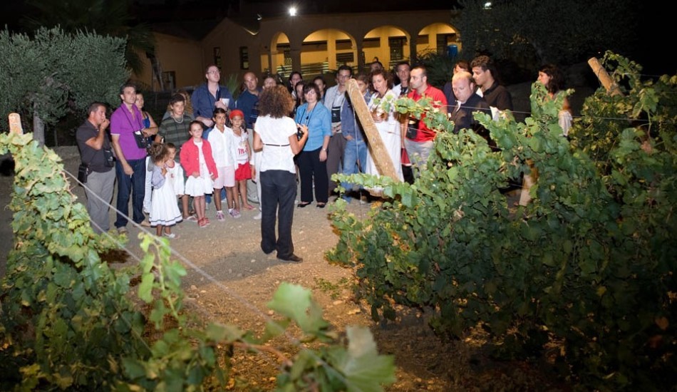 Calici di Stelle 2008 a Donnafugata