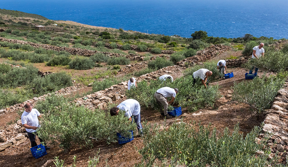 Biancolilla, the unique flavours and emotions of Pantelleria