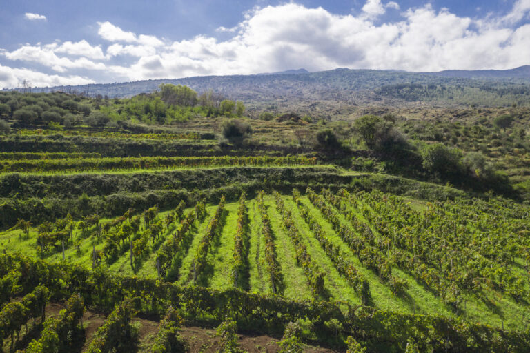 Contrada Marchesa – Tenuta dell’Etna