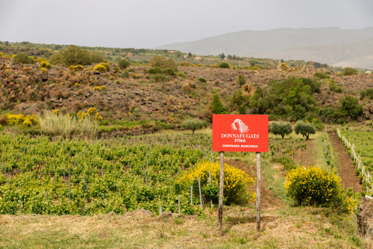 Contrada Marchesa – Tenuta dell’Etna