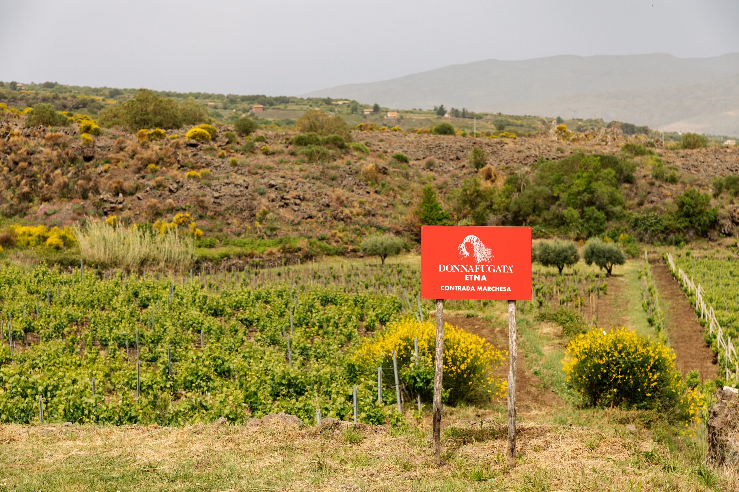 Contrada Marchesa – Tenuta dell’Etna