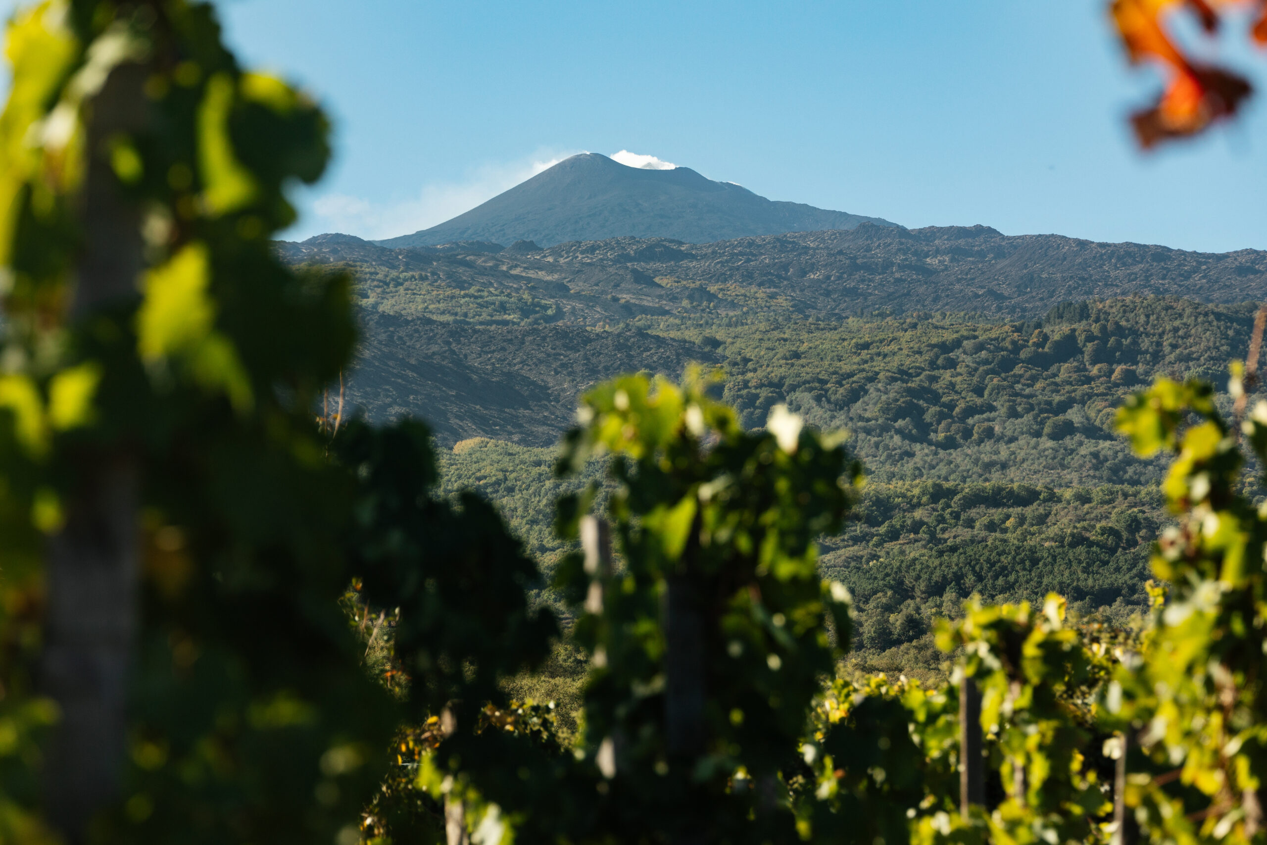 Sciara nuda – Tenuta dell’Etna