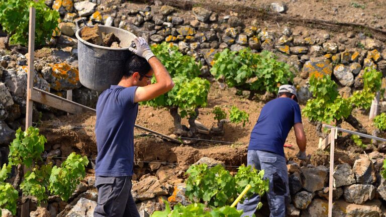 Handwerkliche Arbeit – Trockenmauern